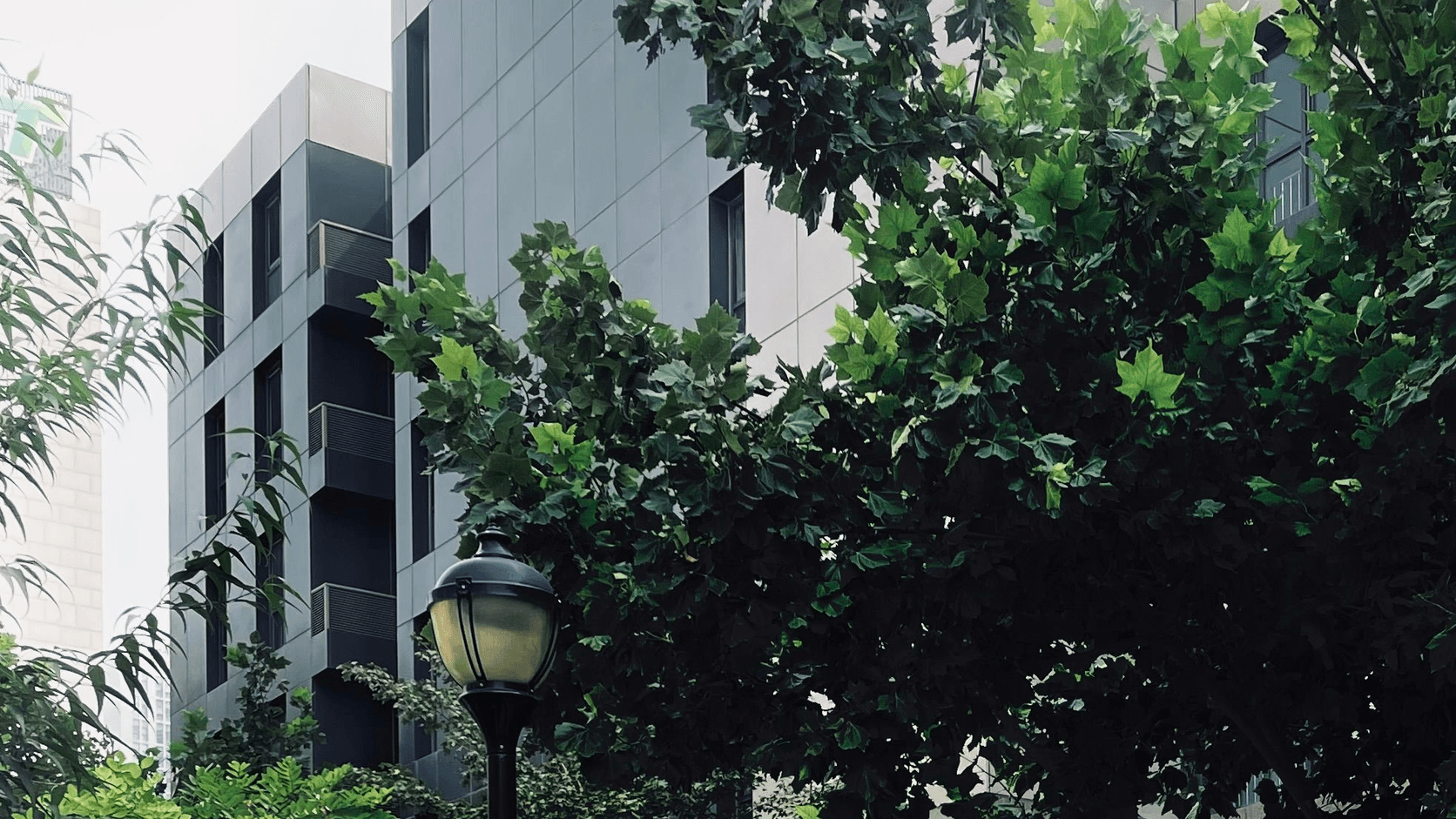 Landscaped approach alongside the commercial building